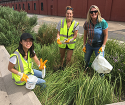 Three EPA staff filling plastic bags with rubbish