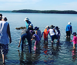 children and teachers inspecting sea grass beds