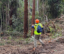 EPA inspector in a forest