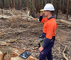 a worker wearing a hard hat and hi-vis shirt inspecting a forested area