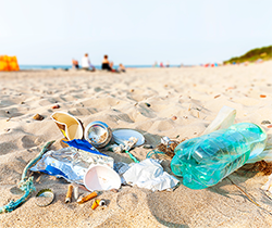 plastic bottles and other litter on a beach