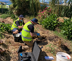 EPA officers sample for lead in soil on public land in Port Kembla