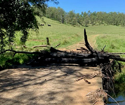 debris on a river weir