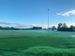 mist over a grassed field