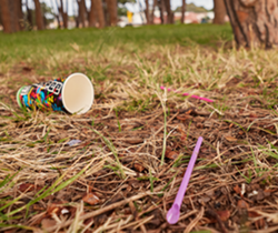 litter in a park