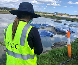 EPA officer assesses pollution from fish sludge to waterway at Narooma