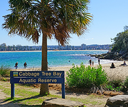 Scene at Cabbage Tree Bay Aquatic Beach 