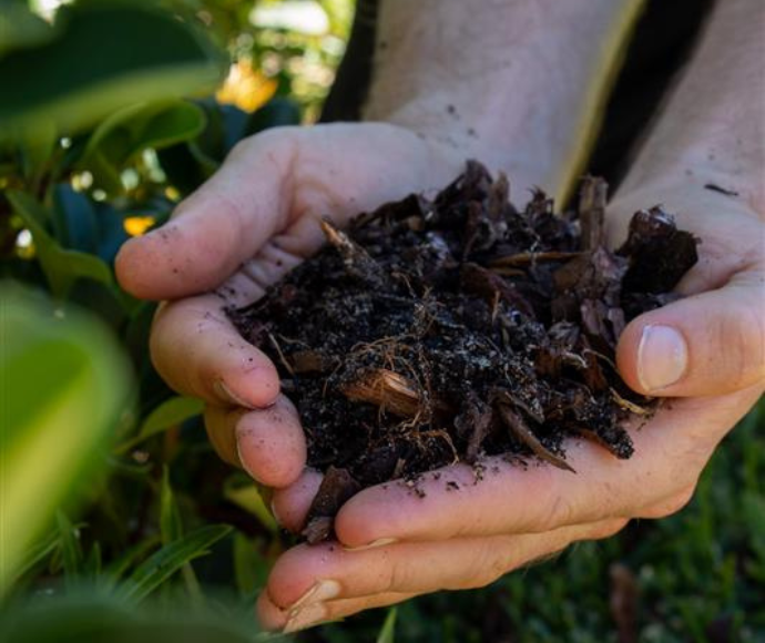 Hands holding compost, surrounded by greenery.